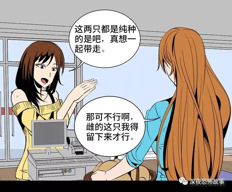 最新无翼鸟彩色漫画，梦幻世界新篇章探索