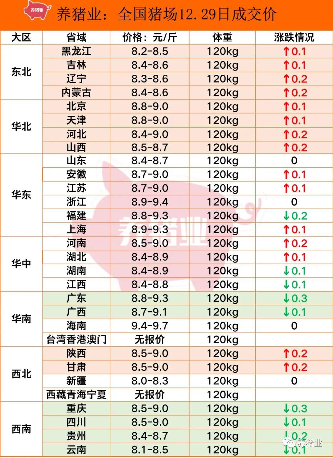 最新猪价走势动态分析