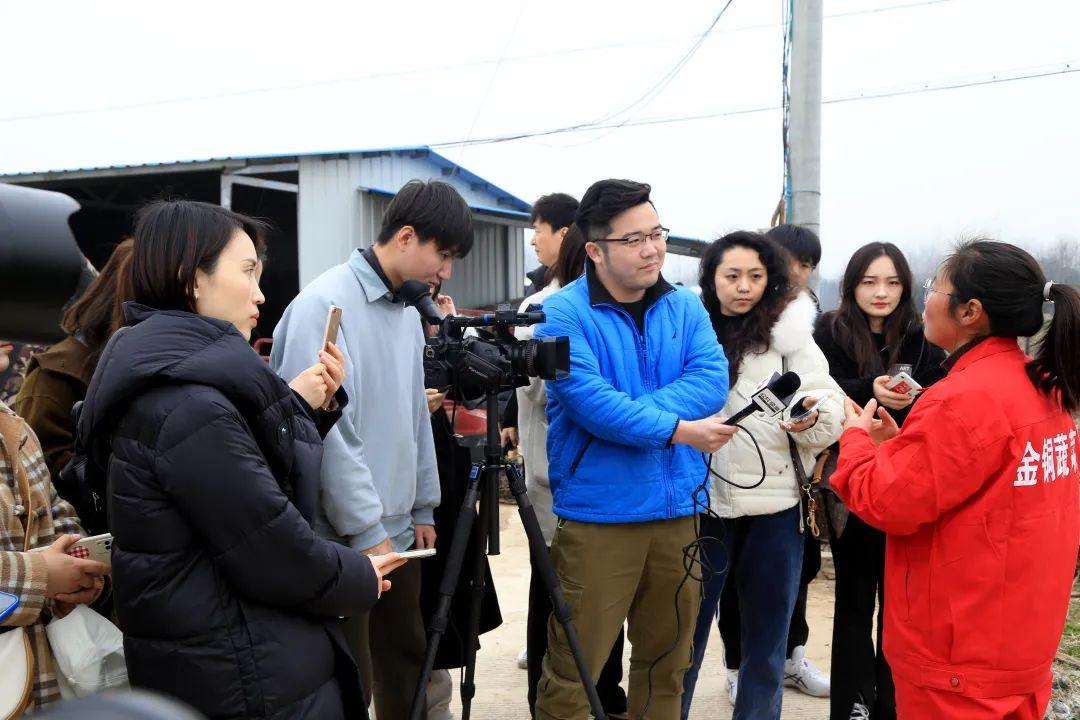 枞阳城市发展新动态，民生改善与城市脉搏同步前行。