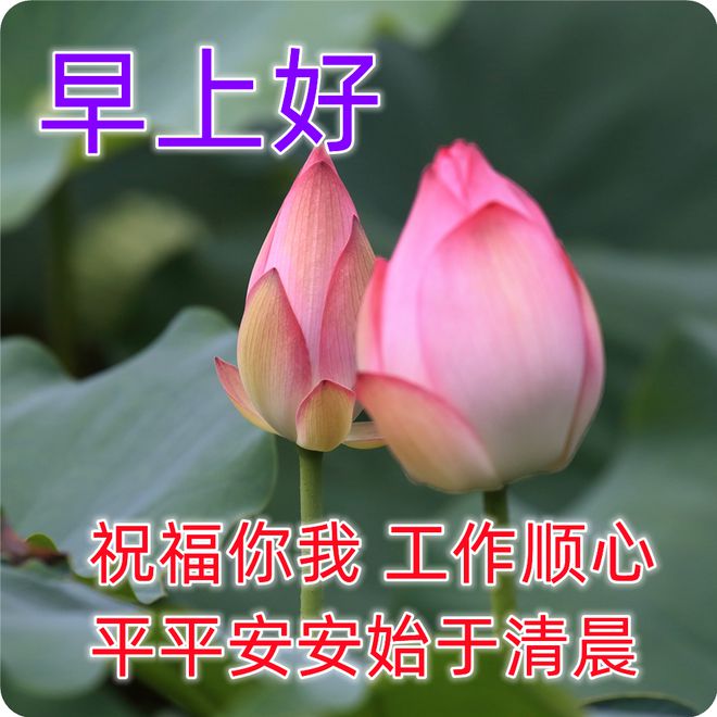 最新清晨祝福短信，唤醒美好，传递温暖与希望的曙光