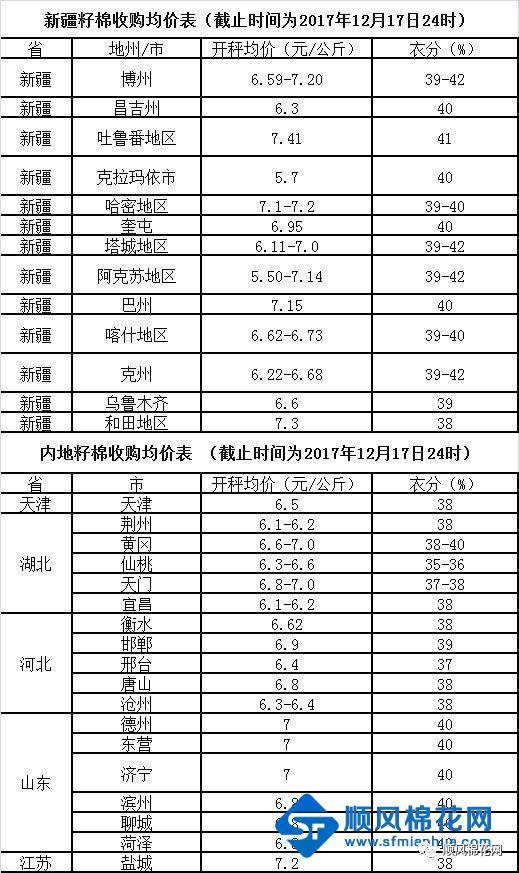 棉子最新价格动态解析与展望