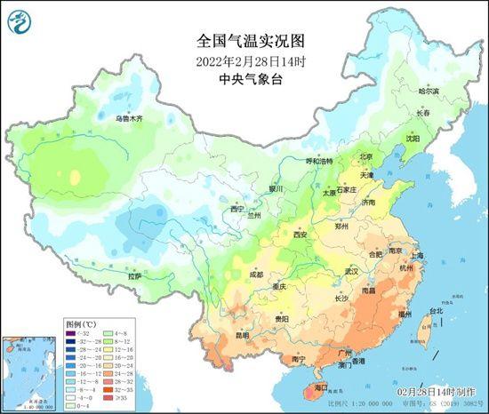 精神分析领域的新突破与探索，最新进展揭秘