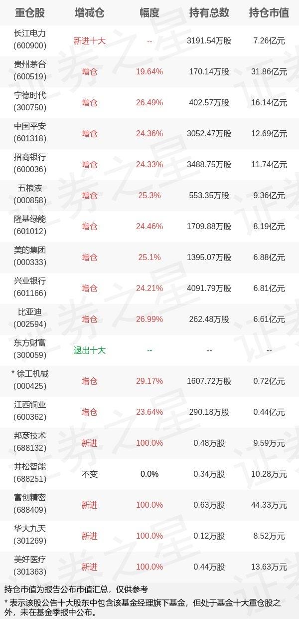 最新基金持仓分析，解读与未来展望