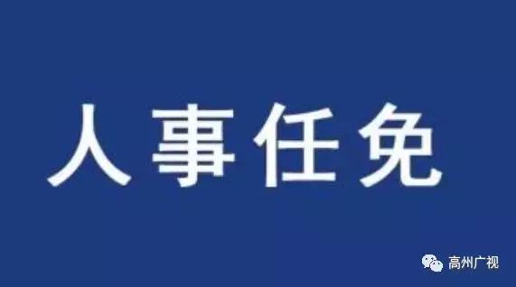 高州市最新人事任免动态概览