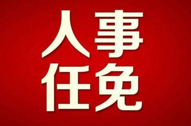 巧家县最新干部任命公告