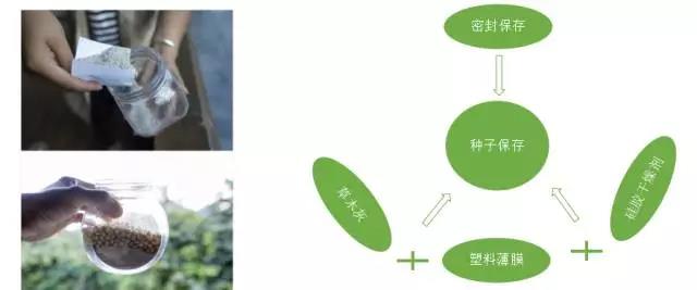 最新种子资源网，农业科技宝库探索之旅