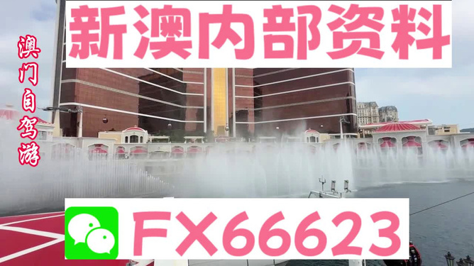 新澳内部资料精准一码,安全执行策略_网红版77.824