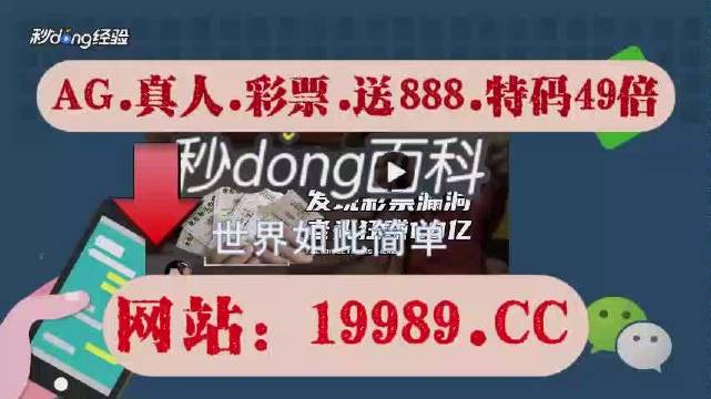 2024澳门天天开好彩免费大全,最佳精选解释落实_领航款56.512