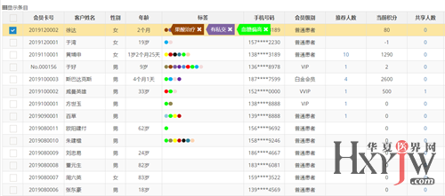 新澳2024年精准资料33期,系统解析说明_WP81.56