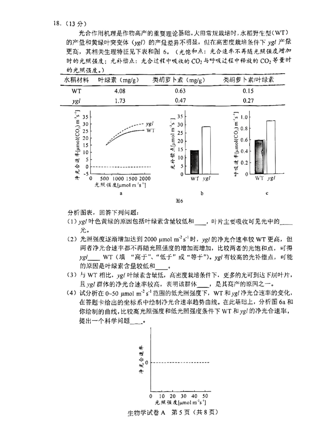 新澳2024大全正版免费,最新答案解释定义_SHD78.604