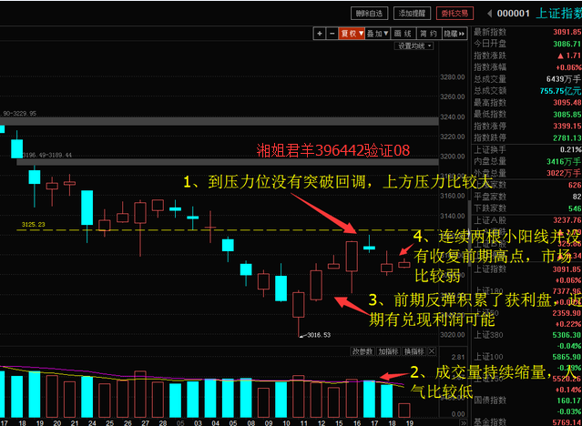 澳门王中王100,未来解答解释定义_1440p71.277