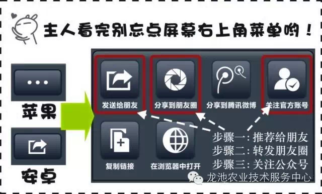 新奥门资料大全正版资料2024年免费下载,专业解析评估_特供款65.614