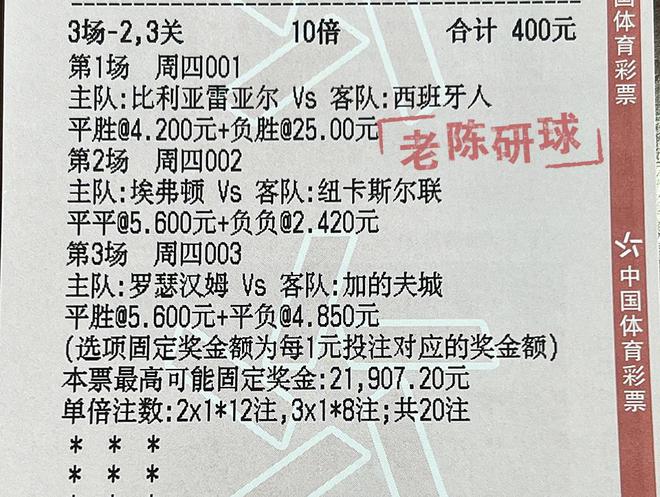 2024澳门特马今晚开奖53期,实践研究解析说明_L版92.15