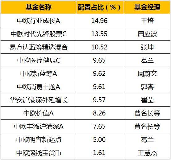 2024澳彩免费公开资料查询,实地设计评估方案_顶级版53.545