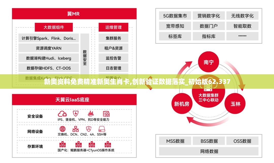 正版资料免费精准新奥生肖卡,数据实施导向策略_The47.444