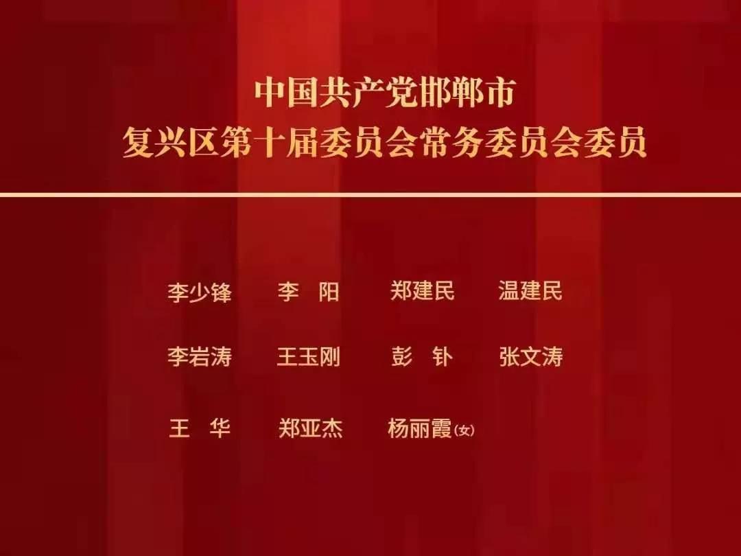 海牙最新人事任命引领国际司法革新纪元