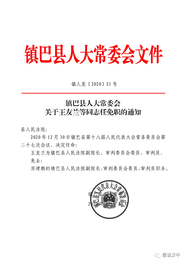 青龙山村委会人事重塑，领导团队任命引领未来发展