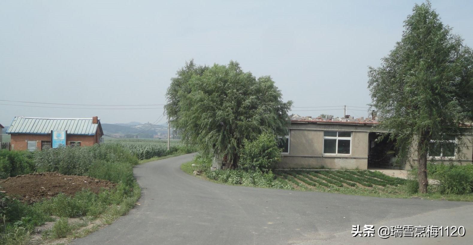 清水台街道重塑城市面貌，推动区域发展新项目启动