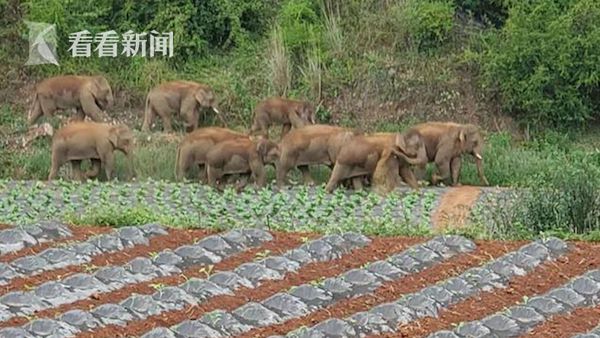 黄羊河农场村人事任命揭晓，引领未来发展的新篇章启动