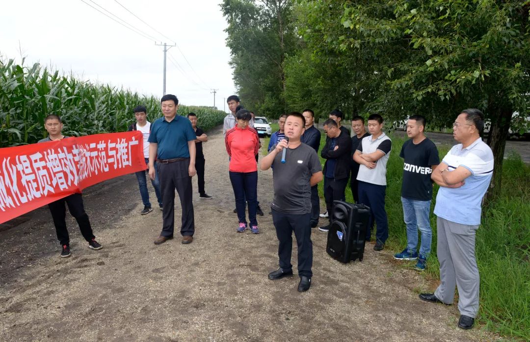 新城子区示范农场新项目引领农业现代化新趋势