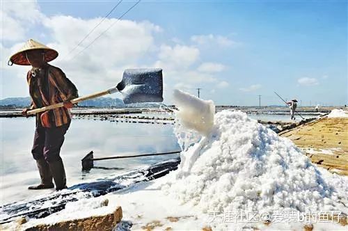 前哨盐场新任领导引领企业迈向更高峰