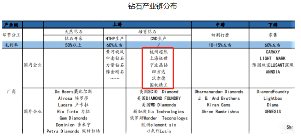 2024年12月8日 第28页