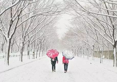 雪天的魅力与风情展现