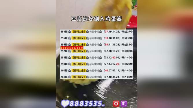 2024新澳最新开奖结果查询,专业评估解析_扩展版25.533