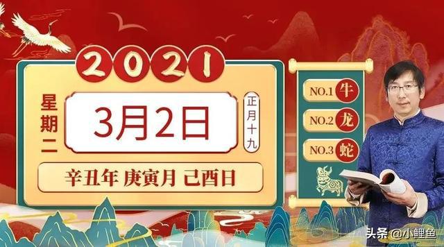 香港今晚开特马+开奖结果66期,精细设计解析_2D60.493