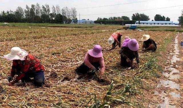 济宁疫情最新动态，坚定信心，携手共克时艰