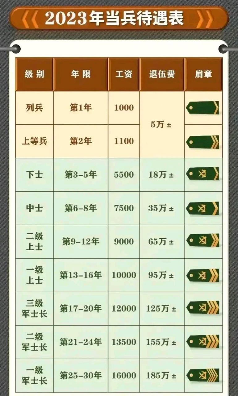 2025部队工资大幅上涨,数据支持方案解析_静态版15.941