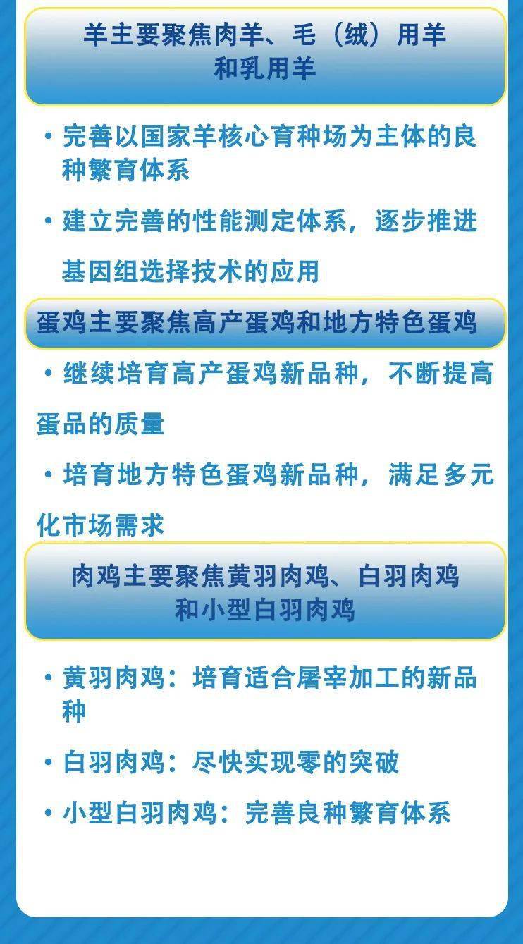 新澳特玛内部资料,广泛的解释落实支持计划_特别版3.363