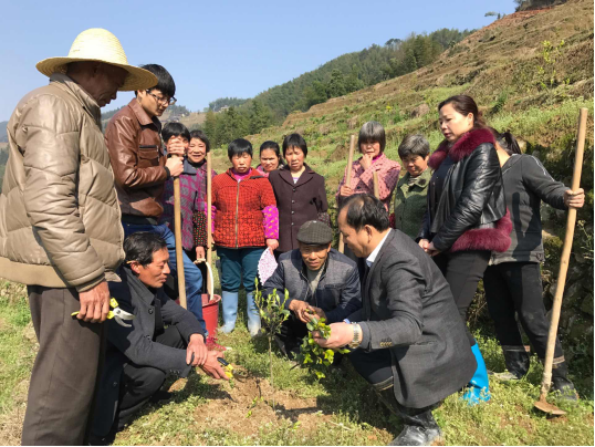 左措村新任领导引领村庄开启崭新篇章