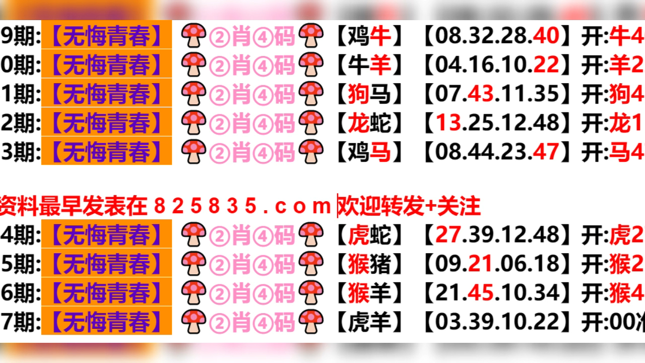 2024新奥门天天开好彩大全85期,标准化实施程序解析_粉丝版335.372