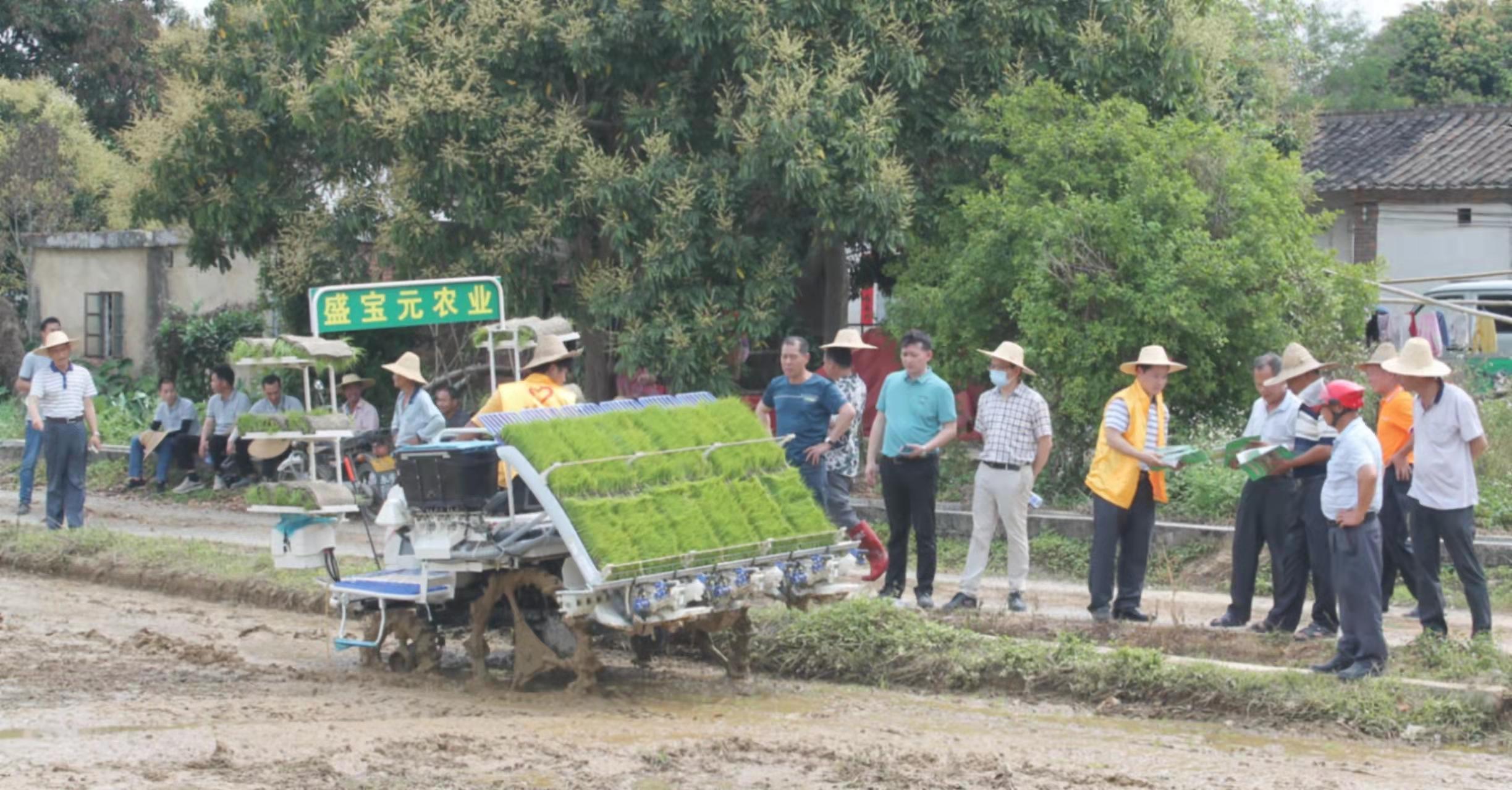 惠东县市场监督管理局发布最新动态