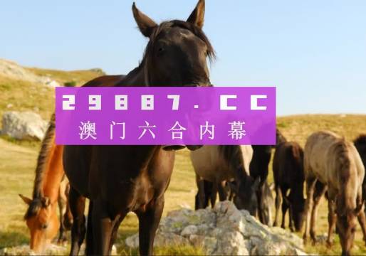 澳门管家婆资料一码一特一,实地验证分析_Deluxe86.195