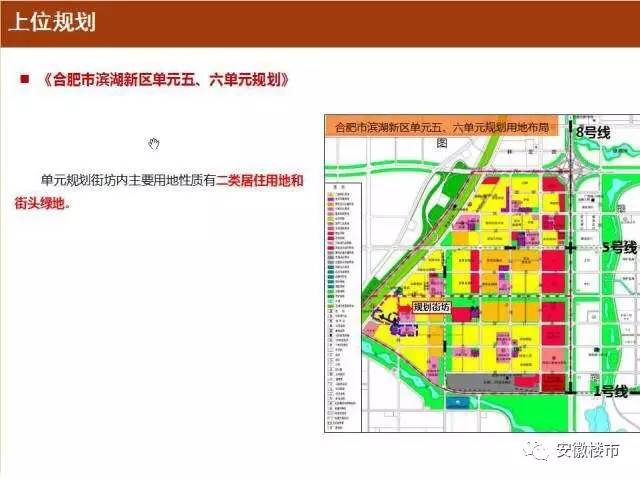 普定县小学发展规划概览，未来教育新蓝图