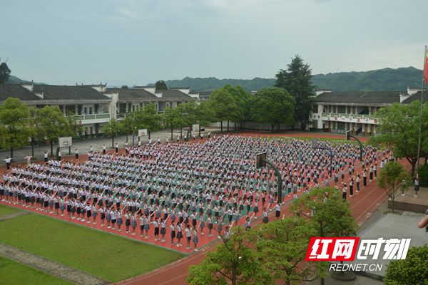 洪江市教育局领导团队最新阵容及教育理念概览