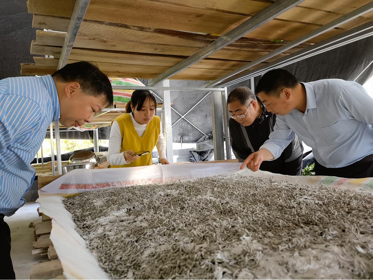 黔江区审计局深化财政审计项目，助力财政管理优化