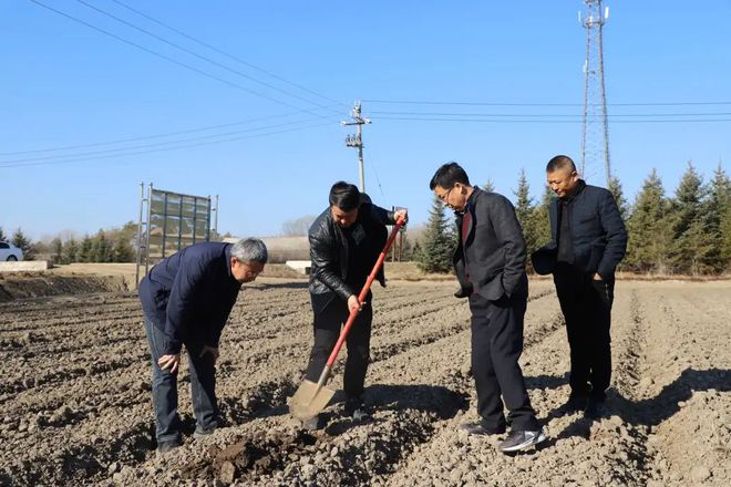 通河县农业农村局新项目推动农业现代化，乡村振兴再添新动力