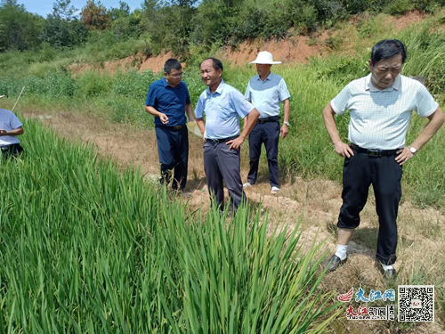 崇仁县水利局最新发展规划概览