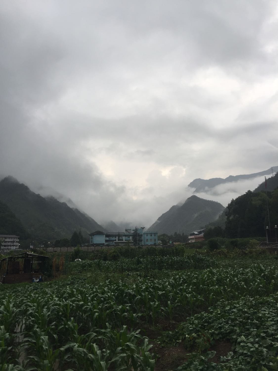 花寨乡天气预报更新通知