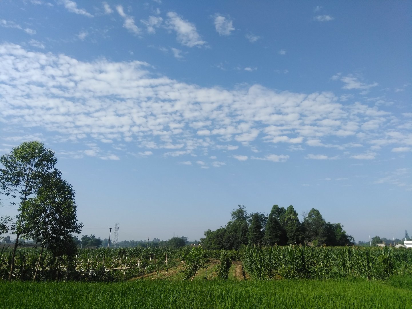 慈云镇天气预报更新通知