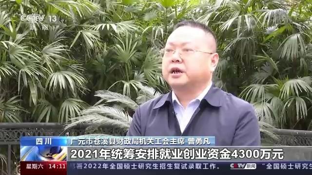 苍溪县文化局及关联单位最新招聘信息详解