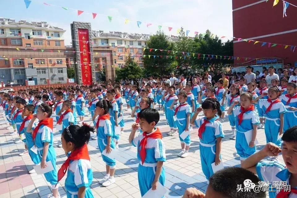 平阴县小学未来发展规划揭晓