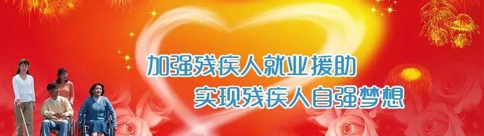 宝塔区小学最新招聘启事概览