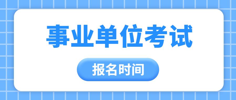 2024年12月31日 第20页