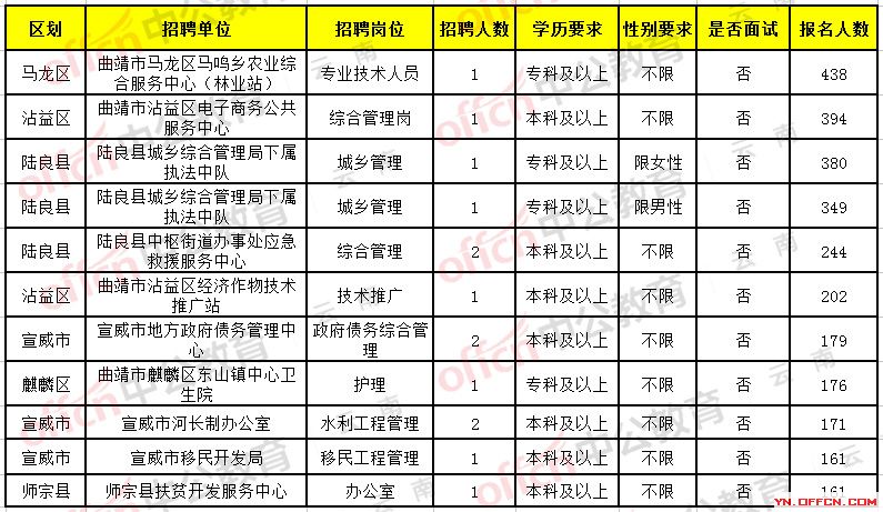 楚雄市财政局最新招聘启事概览