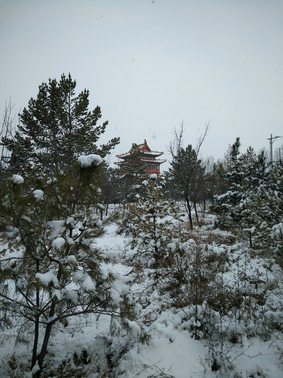 霍林街道最新天气预报