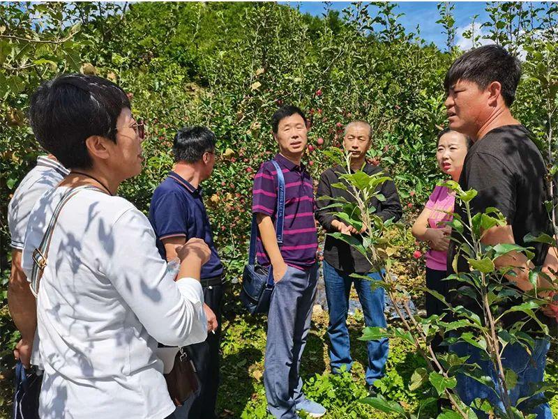 盖州市应急管理局最新项目，开启城市安全防线新篇章